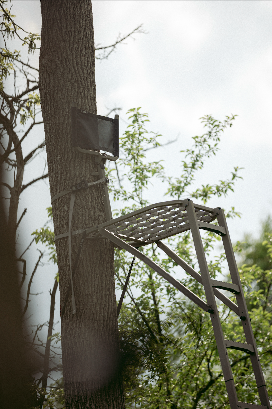 Ladder Stands