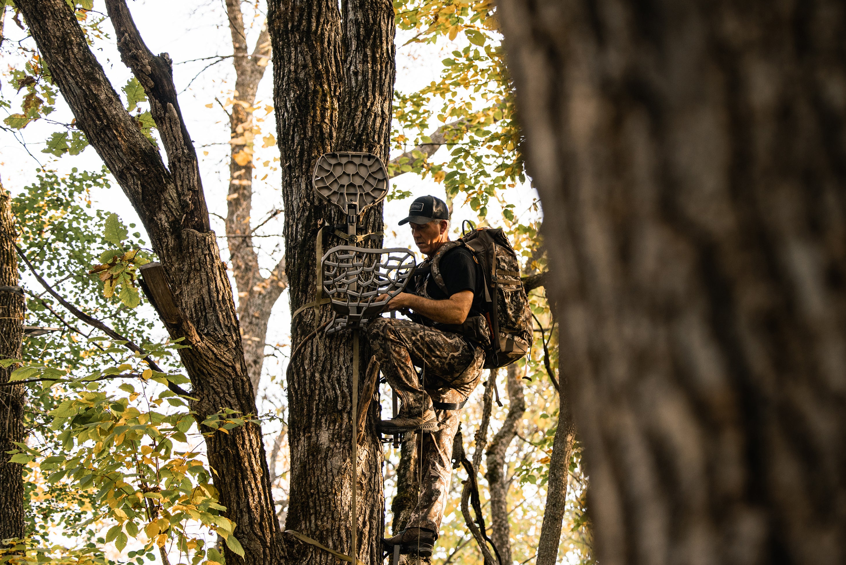 Treestands