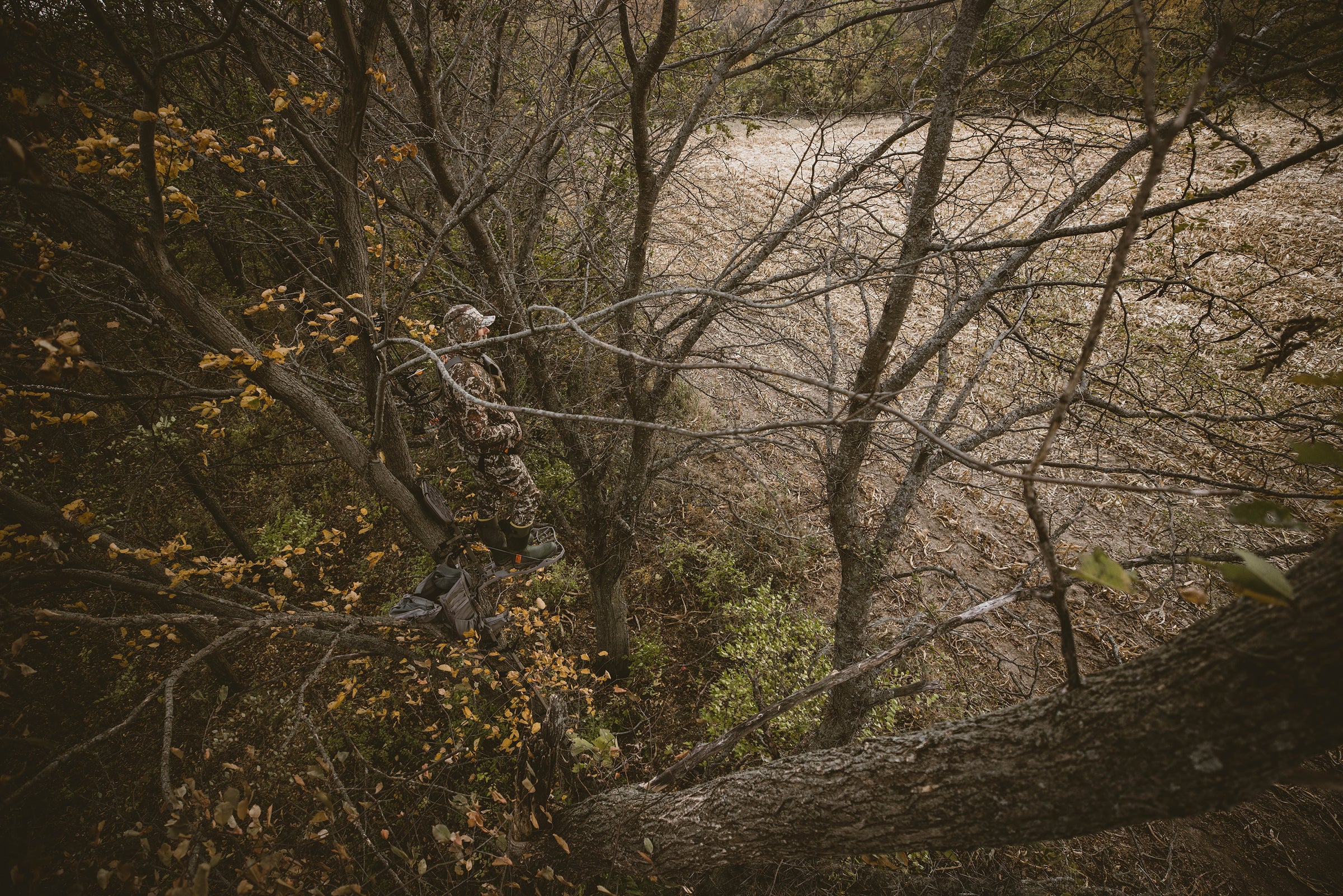 Hunter in a Novix tree stand overlooking a crop field