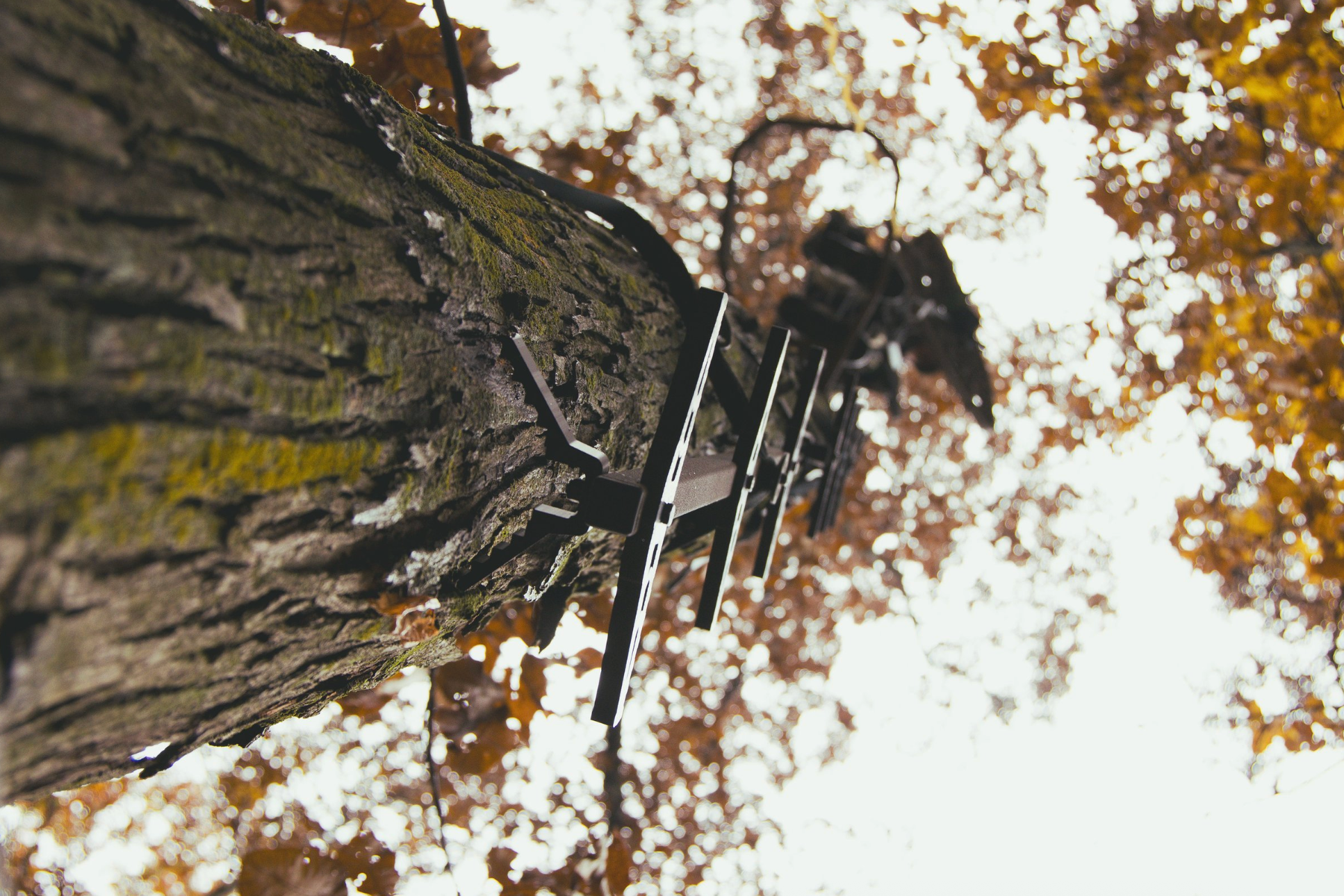 Double-Step Climbing Sticks