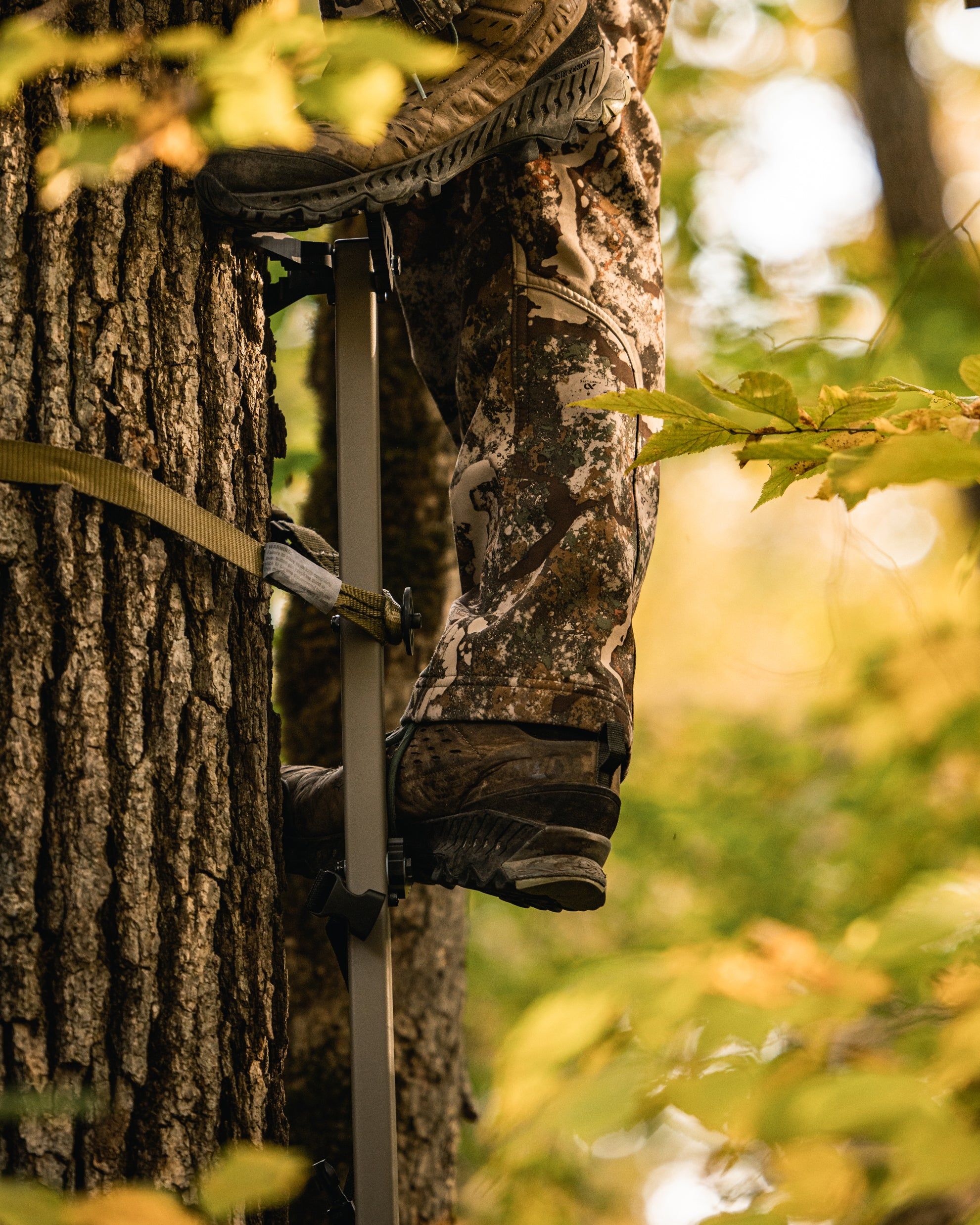 Climbing Sticks