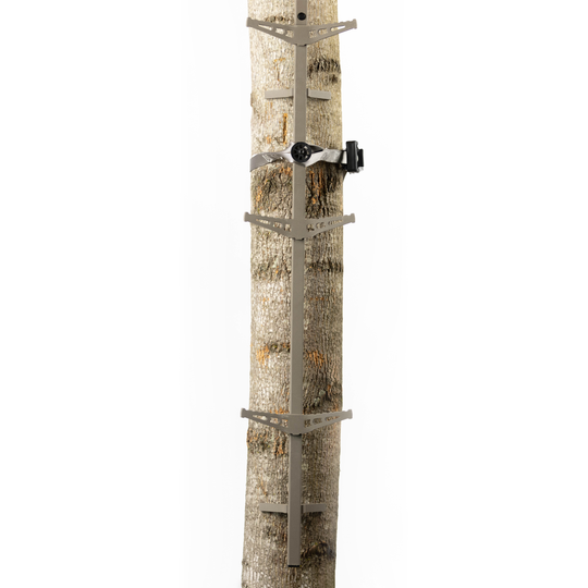 Raider Climbing Stick